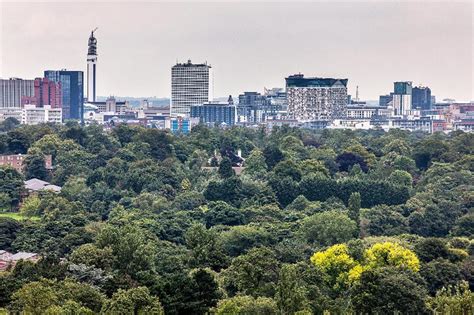 Birmingham to form UK’s first Urban Forest Master Plan | HortWeek