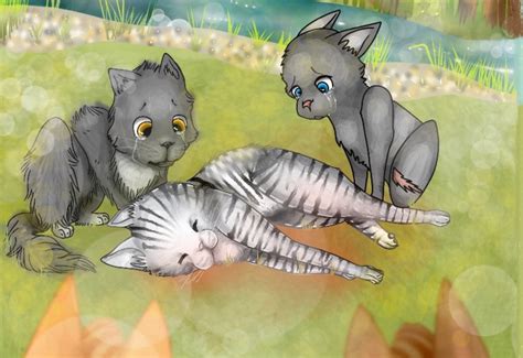 Silverstream's death ( Cinderpaw's fail) | Warrior Cats