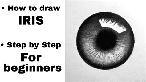 How to draw Realistic Iris | EASY tutorial | for beginners - YouTube