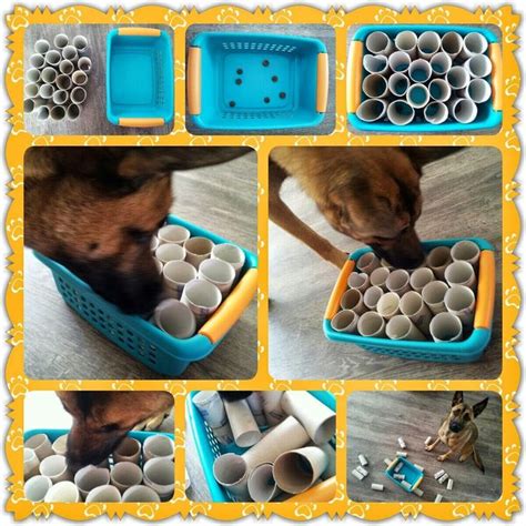 59 best Diy Dog- Toys images on Pinterest | Pet toys, Homemade dog toys ...