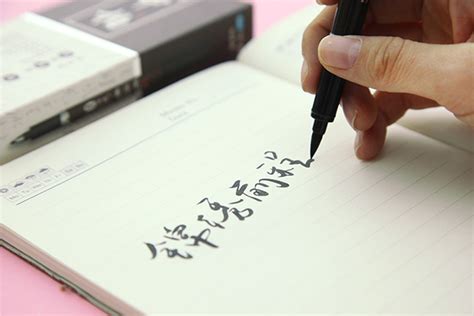 3 Set - Japanese Calligraphy Pens – NotebookTherapy