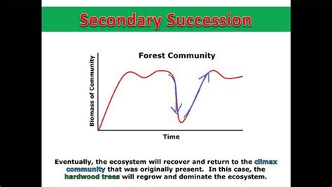 Primary Succession And Secondary Succession Venn Diagram