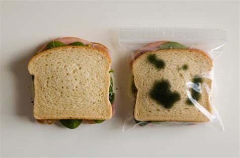 Foodista | Anti Theft Lunch Bags