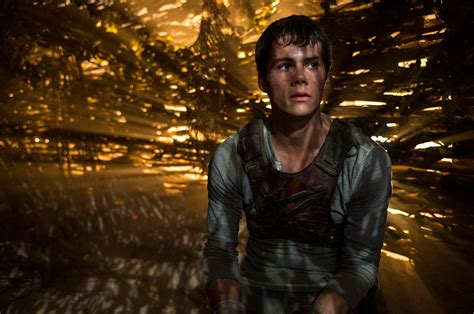 The Maze Runner Movie Review | TIME