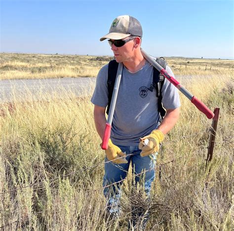 40% of Most Important Colorado Elk Habitat Is Affected by Trail Use ...