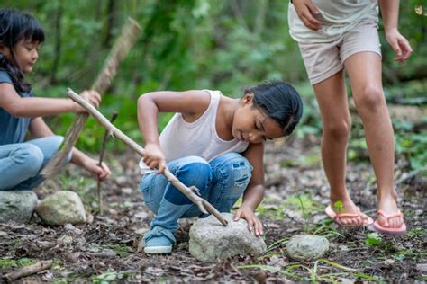 What Is A Forest School? Philosophy, Curriculum, Benefits, & Cost