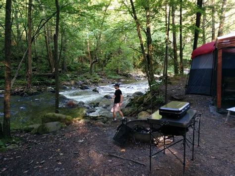 Elkmont Campground *Award-Winning* 2018 Reviews (Gatlinburg, TN) - TripAdvisor