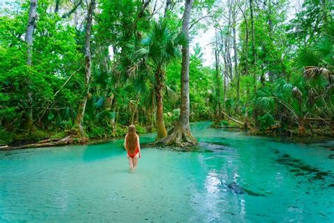 Kings Landing Florida: Kayaking Crystal Clear Emerald Cut - Florida Trippers