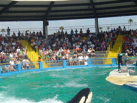 Miami Seaquarium - Miami Wallpaper (1347371) - Fanpop