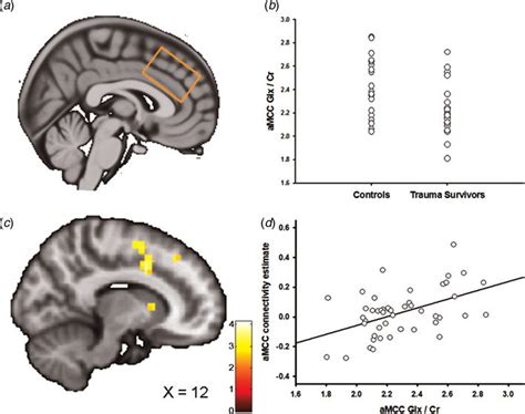 Anterior midcingulate cortex (aMCC) Glx and the association with... | Download Scientific Diagram