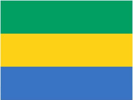 Gabon Flag and Meaning – Countryaah.com