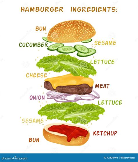 Hamburger Ingredients Set Stock Vector - Image: 42126491