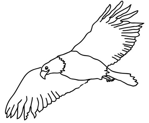 Golden Eagle Drawing | Free download on ClipArtMag