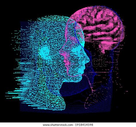 3d Illustration Human Brain Anatomy Made Stock Vector (Royalty Free) 1918414598 | Shutterstock