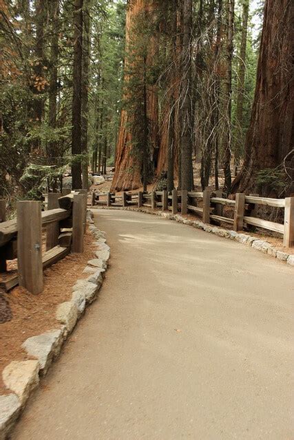 4 of the Best Wheelchair Accessible Trails in U.S. National Parks