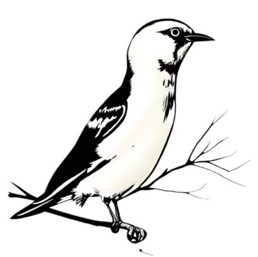 Bird Art Vector Art PNG, Bird Clip Art Cute Bird, Bird Drawing, Lip Drawing, Bird Clipart PNG ...