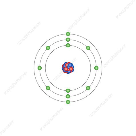 Magnesium, atomic structure - Stock Image - C013/1519 - Science Photo Library