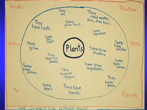 Pin on Thinking Maps