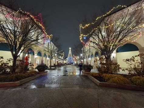 christmas tree shops the arches circle deer park ny - For Lots Profile ...