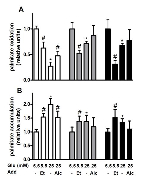 Palmitate oxidation (A) and accumulation (B) in palmitate-exposed... | Download Scientific Diagram