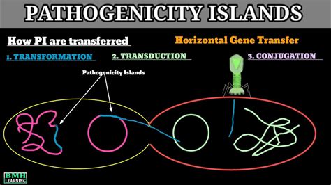 Pathogenicity Islands | Pathogenic Islands | - YouTube