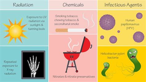 Premium Vector | Causes of mutations