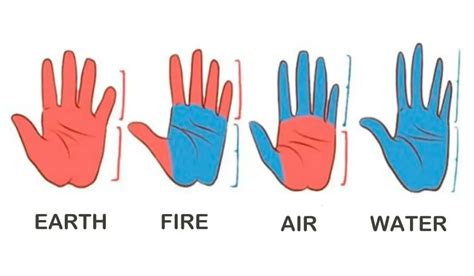 What the Shape of Your Hands Says About Your Personality - Namastest