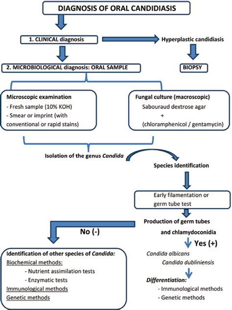 Figure 1 from Clinical and microbiological diagnosis of oral ...