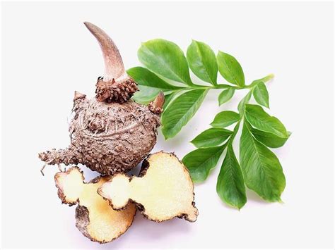 Amorphophallus Konjac Root Powder - інгредієнт косметичний, опис та ...