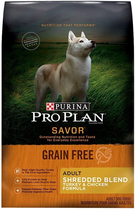 Best Grain Free Dog Food Brands for Large Dogs in 2020