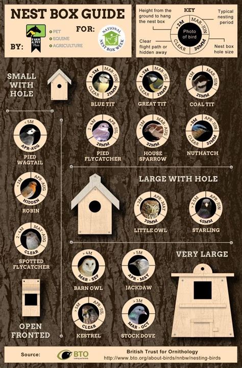 Nest Box Guide - Which Wild Birds Use Nest Boxes? | Nesting boxes, Homemade bird houses, Bird houses