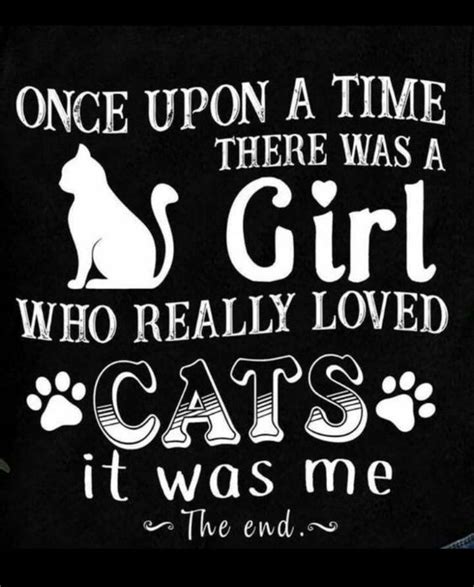 Funny Cat Lady Quotes - Cat Mania