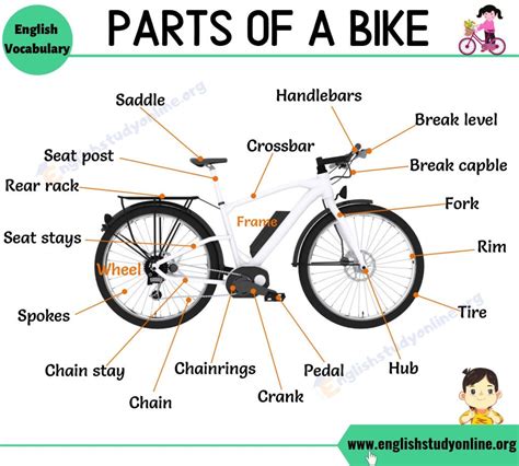 Bike Parts: Different Parts of A Bike with Interesting ESL Image - English Study Online | Good ...