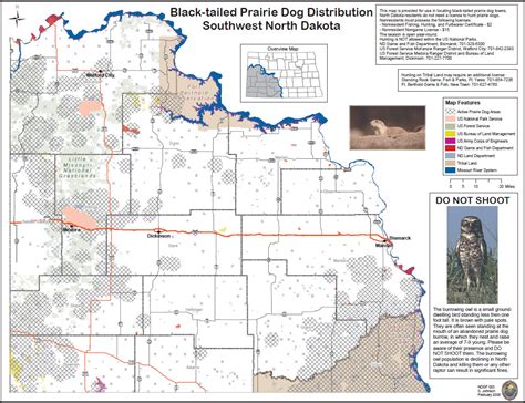 Prairie Dog | North Dakota Game and Fish