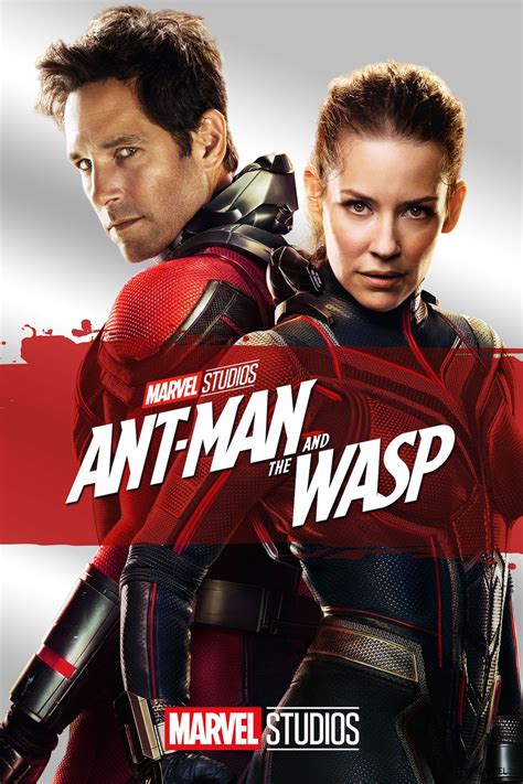 Ant Man and the Wasp FilmyFly 2018 HDRip Hindi Dubbed Movie Download 480p 720p 1080p - FilmyFly.Com