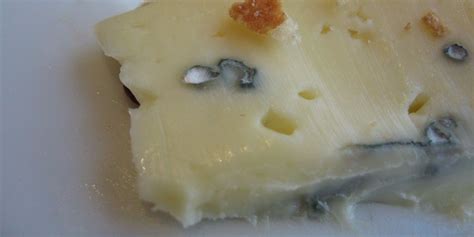 Is moldy cheese bad for you? - Business Insider