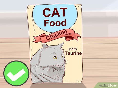 3 Ways to Care for a Cymric Cat - wikiHow Life