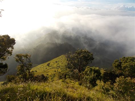 Gunung Merbabu | Gunung Bagging