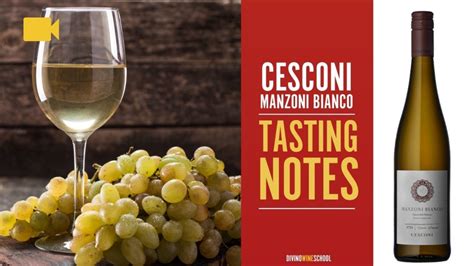 Tasting Notes: Manzoni Bianco - DiVino