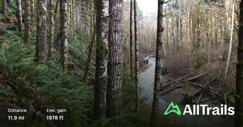 Gales Creek Trail, Oregon - 217 Reviews, Map | AllTrails