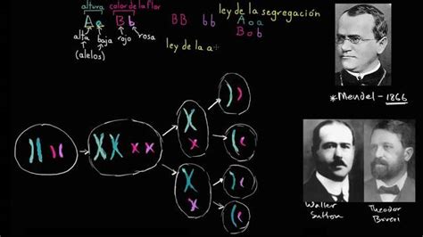 Avances de la Genética a través de la historia por: Ernesto García Recinos timeline | Timetoast ...