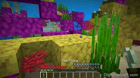 How to make a Sea Pickle in Minecraft