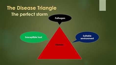 Disease triangle pp 2 – MCNEILL'S TREE SERVICE