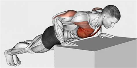 Incline Push Ups Benefits | A Top Bodyweight Exercise | A Lean Life