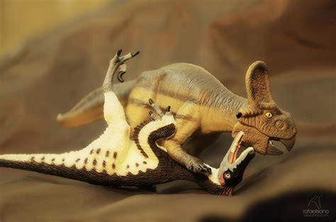 Protoceratops VS Velociraptor by rafaelsiano on DeviantArt