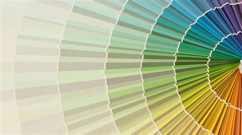 Discover the 2024 Colors of the Year