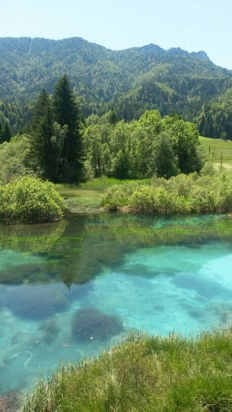 Zelenci Slovenija | Walkabout, Picture, Scenes