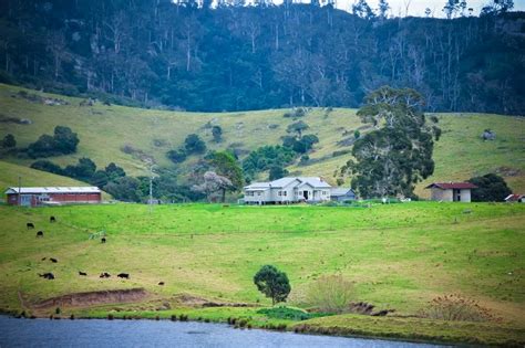 Gardening With Dogs: My Trip to River Cottage Australia [Part 2: Lunch at River Cottage]