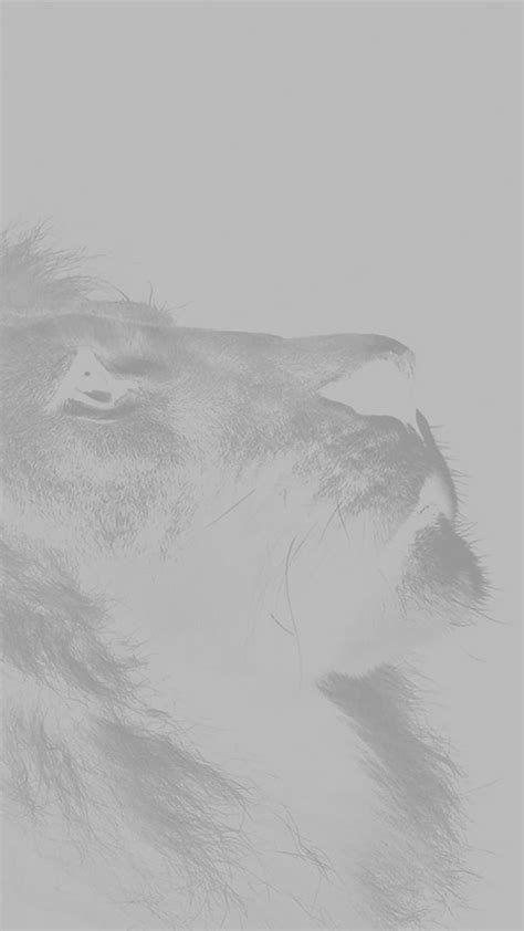 Lion Sketch, white, animal, nature, sky, HD phone wallpaper | Peakpx