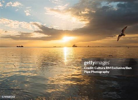 162 Manila Baywalk Stock Photos, High-Res Pictures, and Images - Getty ...